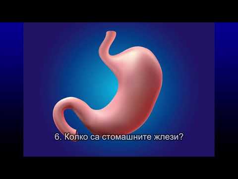 Видео: Работа на стомаха - учебно видео