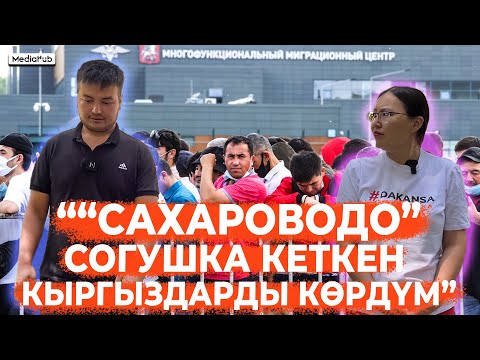 Видео: Депортацияланган мигрант "Сахароводогу" күндөрүн эскерди