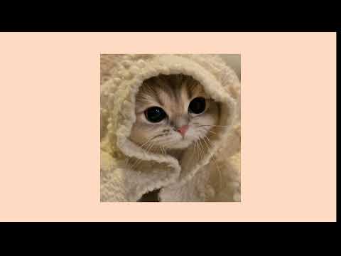 Видео: Просто Лера - Провода (Speed up)