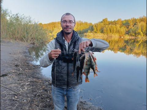 Видео: Роздача злобного осінього окуня на глубині. ЖОР ОКУНЯ. ДЖИГ РІГ. берегова ловля окуння. Осінь 2024