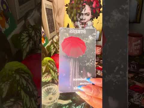 Видео: Поведение KM XXX по откачке сакральной энергии/DM в его Прайде/DF, честно говоря, не беспокоит 🙏🏾