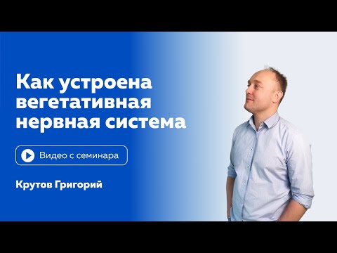 Видео: "Как устроена вегетативная нервная система" Григорий Крутов