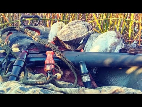 Видео: НА ЭТОМ БОЛОТЕ ПОЛНО СЕВЕРНОЙ УТКИ! ОХОТА НА УТКУ С ЧУЧЕЛАМИ.