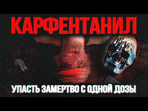 Видео: Карфентанил. Маленькая доза этой дряни усыпит слона. Flanders