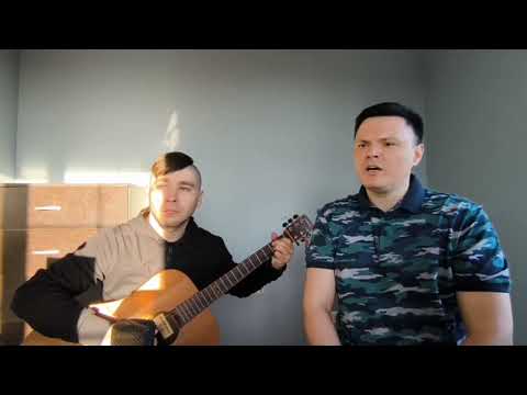 Видео: Журавли