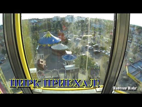 Видео: Цирк. Möbel Inhofer. Marktkauf. Взгляд с коляски. Влог. Германия. Vlog. Senden. Germany