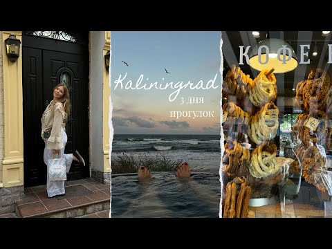 Видео: 1 VLOG // Осенний Калининград, 3 дня тепла у Балтийского моря ✨🍂