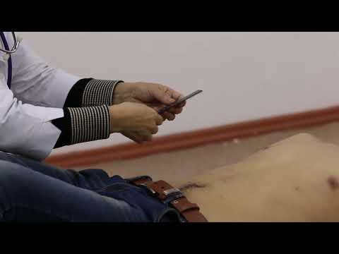 Видео: Асқазан пальпациясы