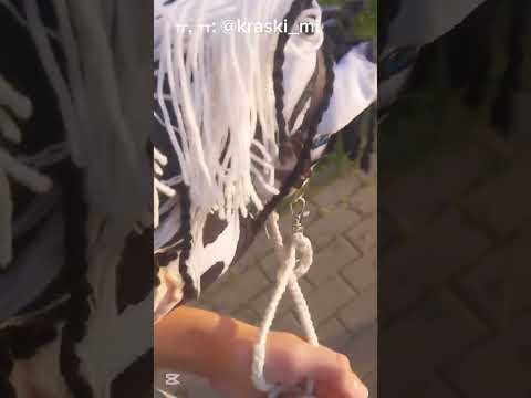 Видео: сколько я трачу? #расходы #конюшня