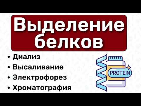 Видео: Очистка белков, выделение белков: диализ, электрофорез, хроматография, высаливание / БИОХИМИЯ белков