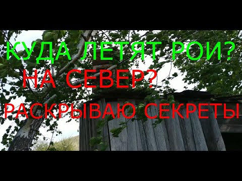 Видео: ГДЕ И КАК СТАВИТЬ ЛОВУШКИ ДЛЯ РОЁВ ?