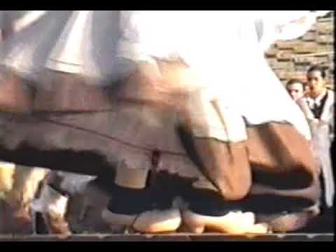 Видео: Полша 1994 година /част 2/