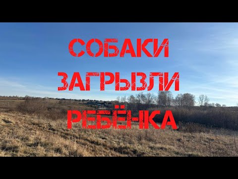 Видео: Собаки загрызли 10 - летнего мальчика в Красноярском крае