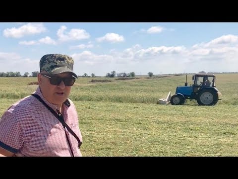 Видео: Виноградник, покровные культуры, No-till | Подготовка почвы под посадку виноградника