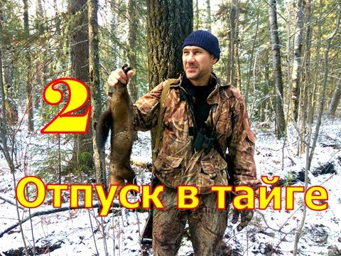 Видео: Отпуск в тайге 2