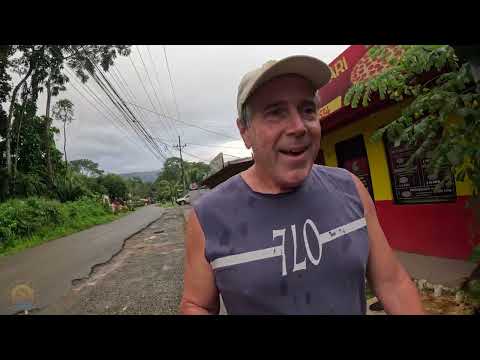 Видео: Прогулка воскресным утром: кофе и печенье в Panadaria в Увита, CR☕️🇨🇷