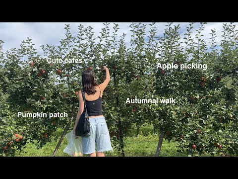 Видео: Я люблю осень