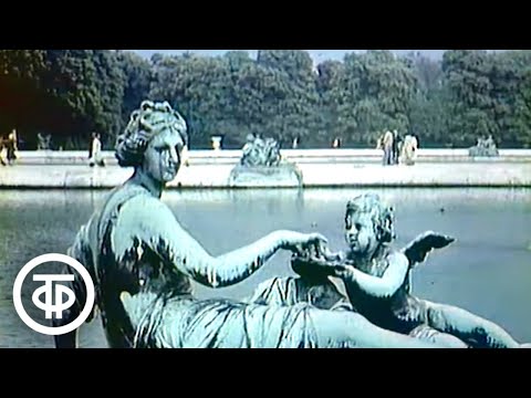 Видео: Литература. Классицизм в искусстве (1988)