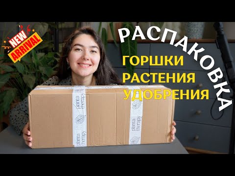Видео: РАСТЕНИЯ, семена, УДОБРЕНИЯ, горшки и КАШПО | цветочная РАСПАКОВКА  🌿