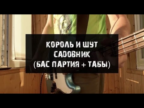 Видео: Король и Шут - Садовник (кавер, бас партия + табы)