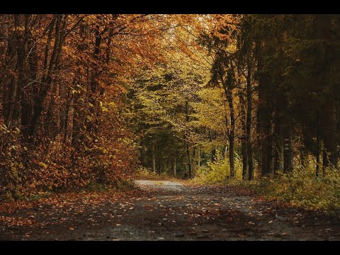 Видео: Истоки и смысл русского посткоммунизма. Беседа двадцать восьмая