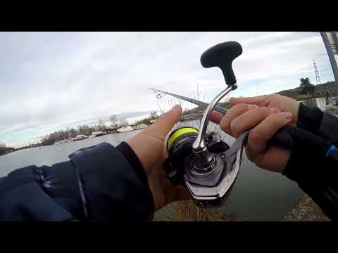 Видео: Жор Щуки.Франция.Рейн.Hecht angeln am Rhein.Sportex Magnific.