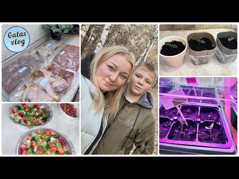 Видео: VLOG 💚 ОТКРЫВАЕМ БИЗНЕС 🙃 ПОСАДИЛА ОГОРОД /ДЕЛАЮ ЗАГОТОВКИ НА НЕДЕЛЮ