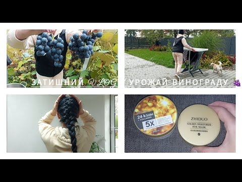 Видео: ЗАТИШНИЙ ВЛОГ/УРОЖАЙ ВИНОГРАДУ 🍇/НОВІ ПАТЧІ/ВОЛОССЯ 