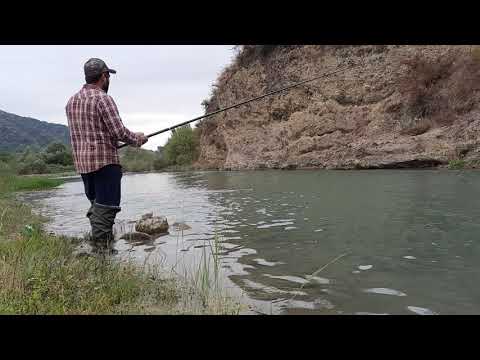 Видео: Рыбалка в Грузии с монци.