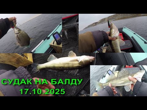 Видео: СУДАК НА БАЛДУ. 17.10.25. БОНУС ЛЕЩ.