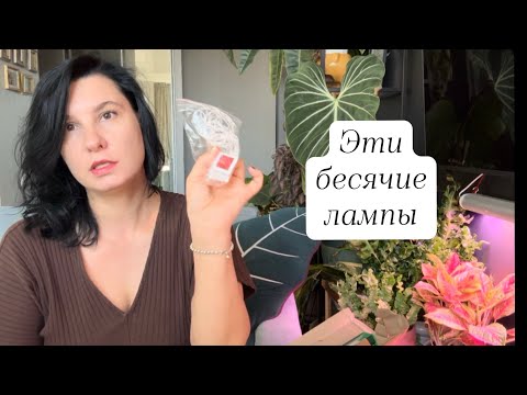 Видео: Эти бесячие лампы: рассказываю, что меня раздражает в фитолампах