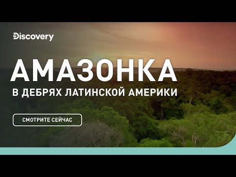 Видео: Амазонка | В дебрях Латинской Америки | Discovery Channel