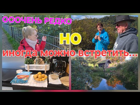 Видео: ОЧЕНЬ редко такое/много рыбы & ВСТРЕТИЛА РОДИТЕЛЕЙ & ВЫШЛА С утра на ПрОгУлКу, .