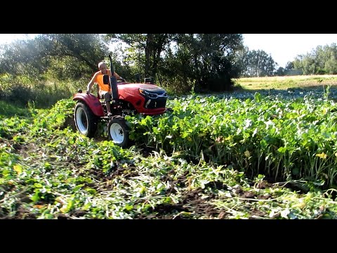 Видео: Задисковываю рапс.