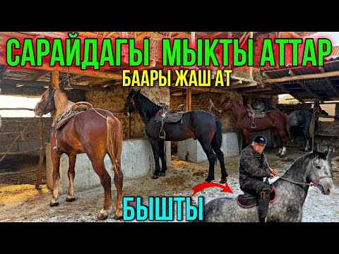 Видео: ДЫЙКАНДАН 4 АТ ЖӨНДҮҮ БААДА ❤️‍🔥 #байтв