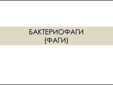 Видео: БАКТЕРИОФАГИ (ФАГИ).