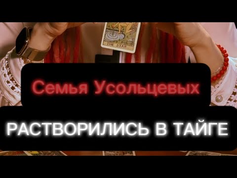 Видео: ‼️УСОЛЬЦЕВЫ. Несчастный случай или преступление?‼️#таро #пропавшиебезвести #поисклюдей 