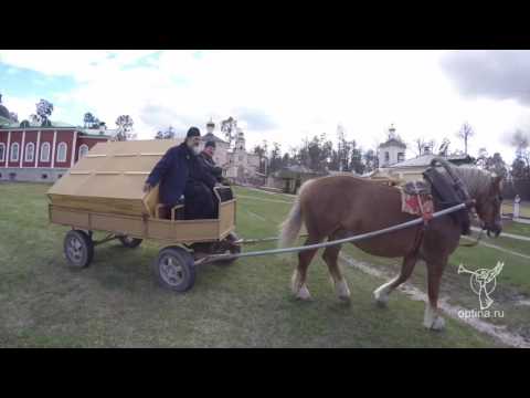 Видео: Семь дней в Оптиной