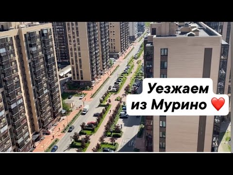 Видео: УЕЗЖАЕМ ИЗ МУРИНО ❤️/ ЗАБРАЛА ДОКУМЕНТЫ ИЗ ШКОЛЫ/ МОЯ ШКОЛЬНАЯ ИСТОРИЯ/ ВОРОНЦОВСКИЙ БУЛЬВАР/