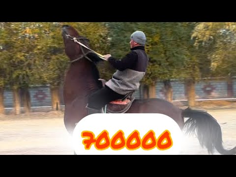 Видео: Базар Коргон +996-227-10-10-87. 7 ноября 2025 г.