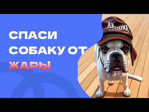 Видео: Как спасти собаку от жары, что такое перегрев у собаки, чем опасен перегрев