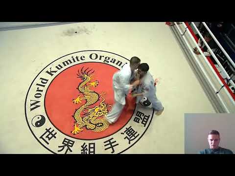 Видео: Разбор поединков с 6-го Чемпионата мира по WKO