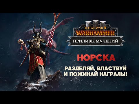 Видео: Норска. Разбор фракций Tides of Torment