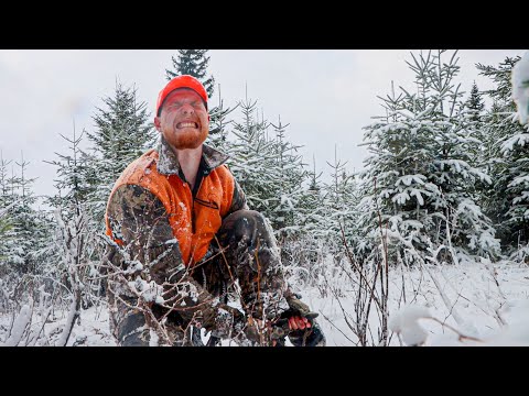 Видео: ДЕНЬ 1 И У МЕНЯ ПРОБЛЕМЫ! | Сезон охоты на винтовку в штате Мэн
