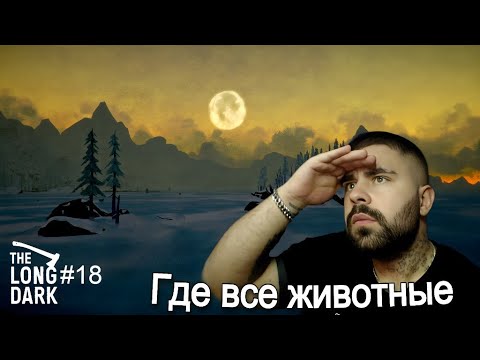 Видео: Остался без еды - The Long Dark #18