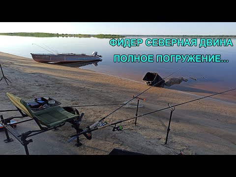 Видео: Фидер. Северная Двина. Полное погружение.