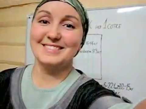 Видео: Как заработать на чесноке. Часть 2.Расчет на 1 сотку.