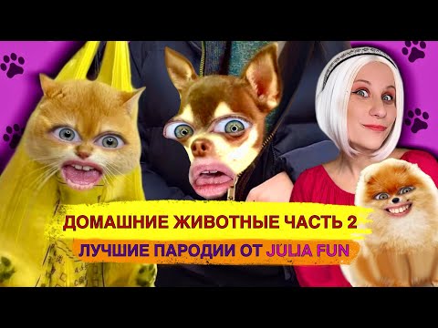 Видео: ДОМАШНИЕ ЖИВОТНЫЕ (Часть 2) Лучшие Пародии!
