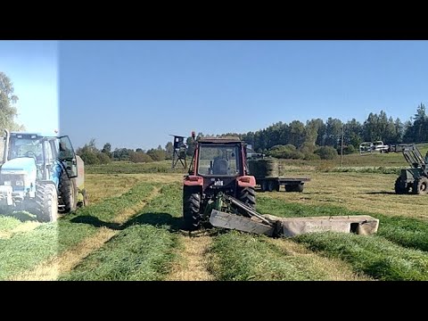 Видео: Снова в поле. Работаем . Заготовка корма силоса