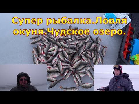 Видео: Супер рыбалка на Чудском озере.Ловля окуня на блесну.Где-то на 18 км. Super asaru cope Peipusā.